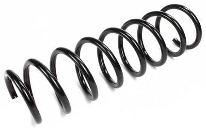 Coil Spring - Rear